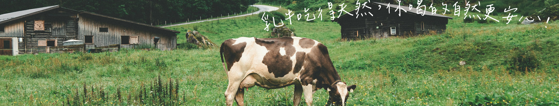 有機草飼乳源